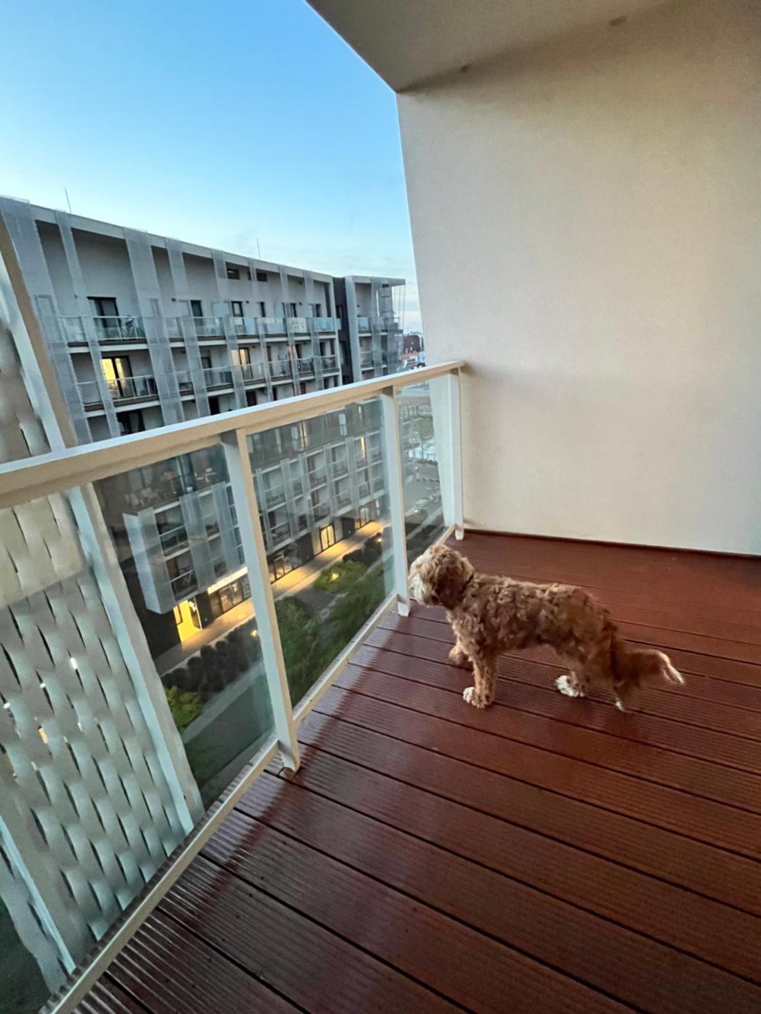 Family House By The River Odra -Panoramic Terrace - 3Room Apartment With 2 Separate Bedrooms And 2 Balconies By Wroapart-Pl- Perfect For Family & Business Stays Wrocław Zewnętrze zdjęcie